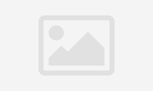 CBSE Class 11 Biology – Chapter Wise Study Materials Based on NCERT