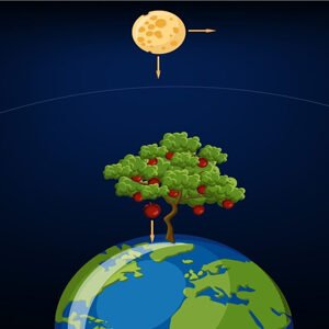 Class IX Science Chapter 10 Gravitation MCQ