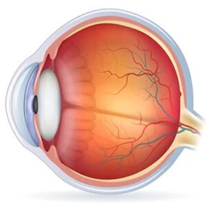 Class X Science Chapter 11 Human Eye and Colourful World MCQs