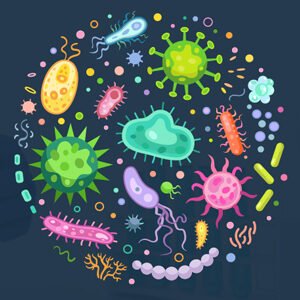 Class VIII Science Chapter 11 Micro Oraganisms Friend and Foe Summary