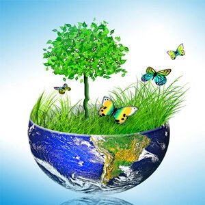Class X Science Chapter 15 Our Environment MCQs 2