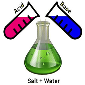 Class X Science Chapter 2 Acids, Bases and Salts Questions with Answers