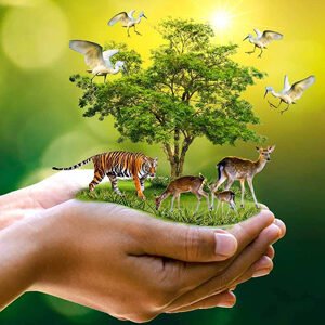 Class VIII Science Chapter 5 Conservation of Plants and Animals Questions with Answers