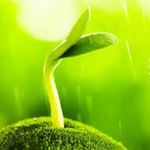 Class VIII Science Chapter 6 Crop Production and Management Summary