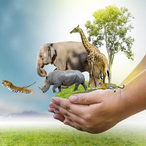 Class IX Science Chapter 7 Diversity in Living Organisms Questions with Answers