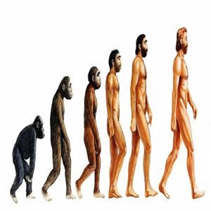 Class X Science Chapter 9 Heredity and Evolution MCQs