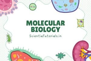 Molecular Biology