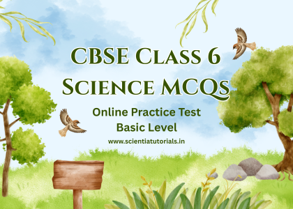 CBSE Class 6 Science MCQs – Online Practice Test – Basic Level