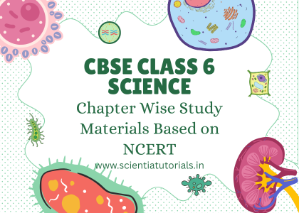 CBSE Class 6 Science – Chapter Wise Study Materials Based on NCERT