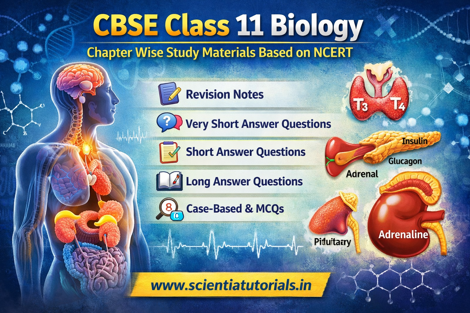 CBSE Class 11 Biology