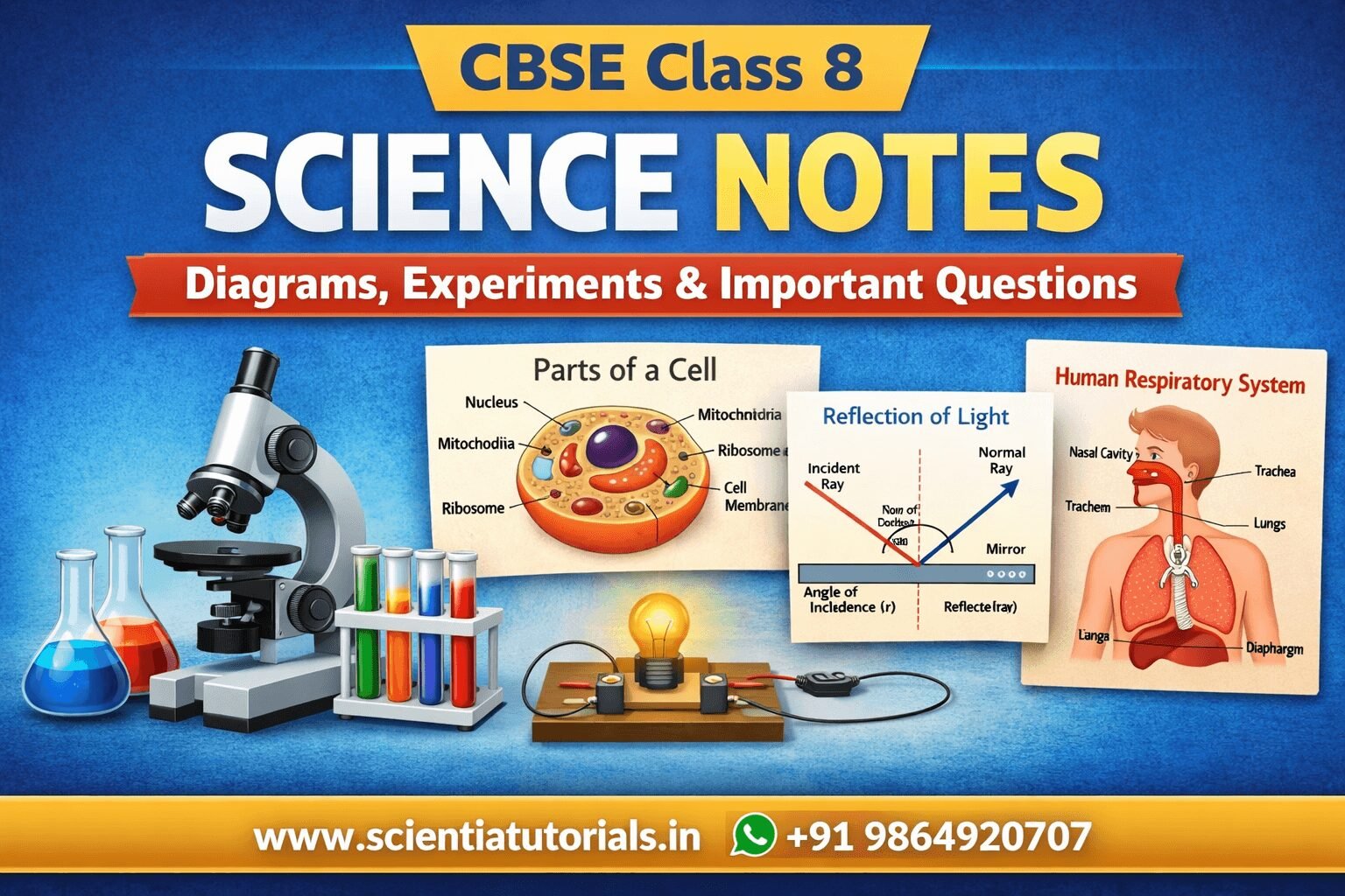 CBSE Class 8 Science notes with diagrams experiments and important questions for NCERT exam preparation