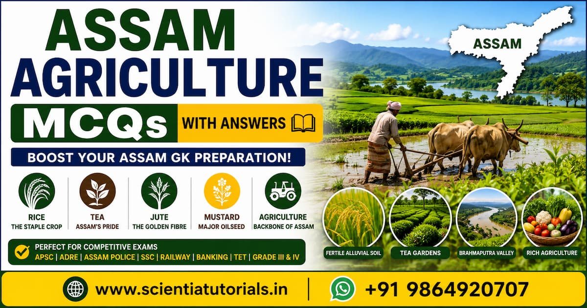 Assam Agriculture MCQs with answers featuring rice cultivation, tea gardens, jute farming, mustard crops, fertile alluvial soil, and Assam GK preparation for APSC, ADRE, Assam Police, SSC, Railway, Banking, and TET exams.