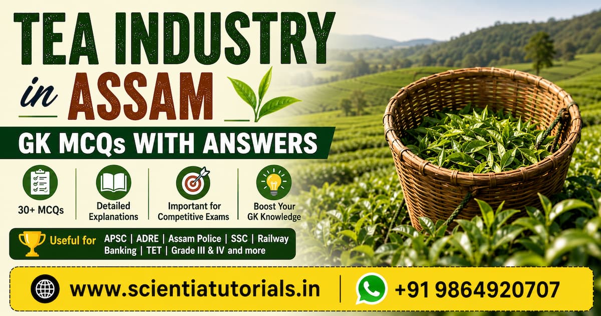 Tea Industry in Assam GK MCQs with answers featuring Assam tea gardens, tea leaves, and competitive exam preparation for APSC, ADRE, Assam Police, SSC, Railway and Banking exams.