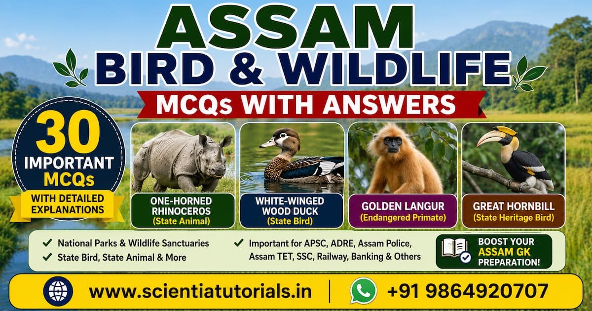 Featured image for Assam Bird and Wildlife MCQs with Answers showing the One-Horned Rhinoceros, White-winged Wood Duck, Golden Langur, and Great Hornbill for APSC, ADRE, Assam Police, Assam TET, Grade III & Grade IV, SSC, Railway, Banking, and other Assam competitive examinations.
