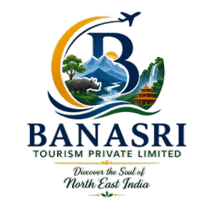 Banasri.in logo representing travel and tourism in Northeast India, showcasing scenic destinations, cultural heritage, adventure, and nature experiences.